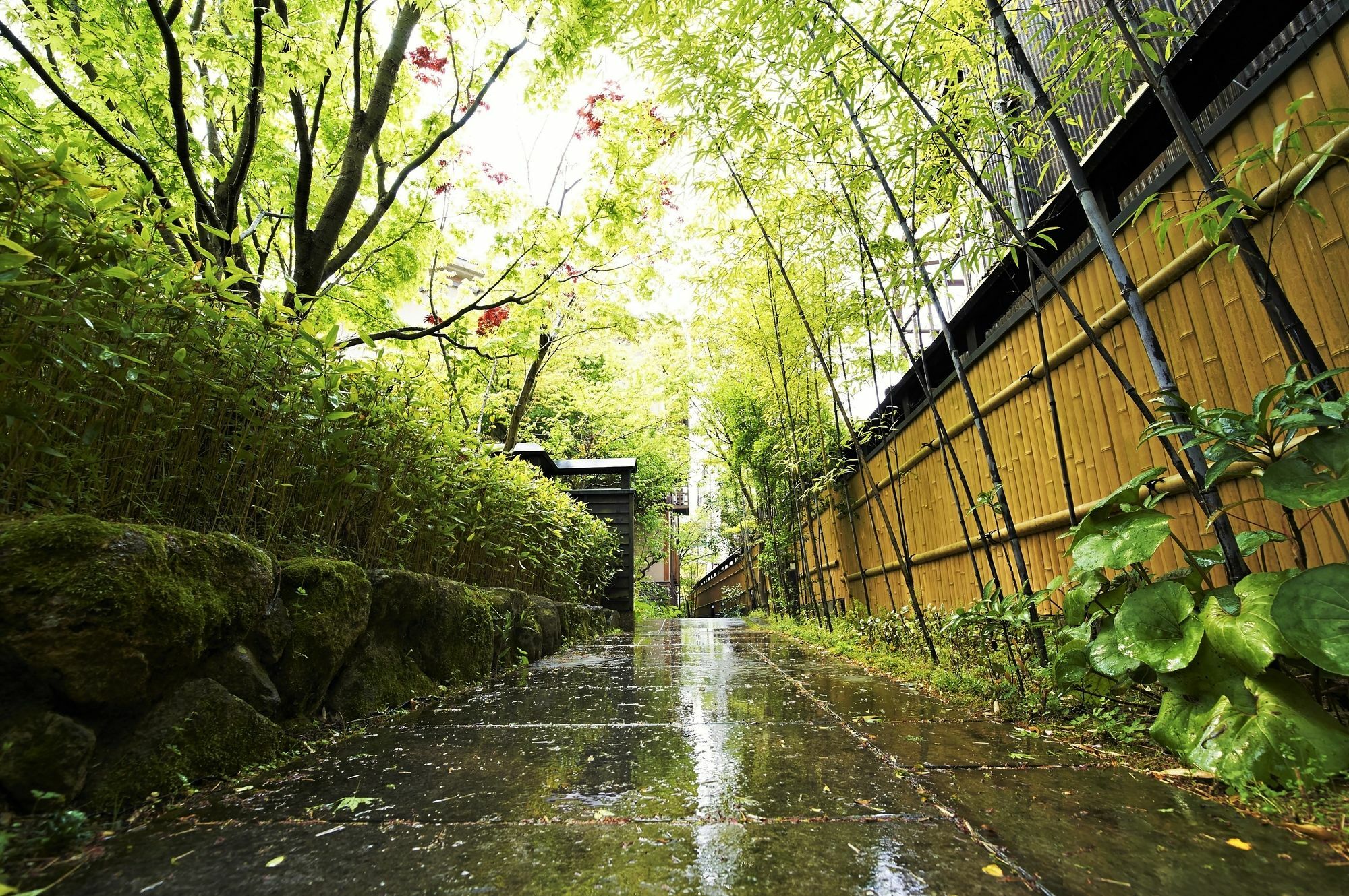 ホテル風早 日田市 エクステリア 写真